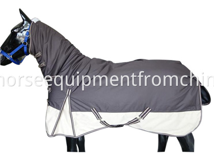 waterproof horse rug (1)